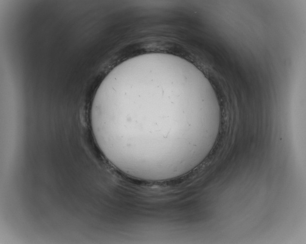 X0000111810755200907231016