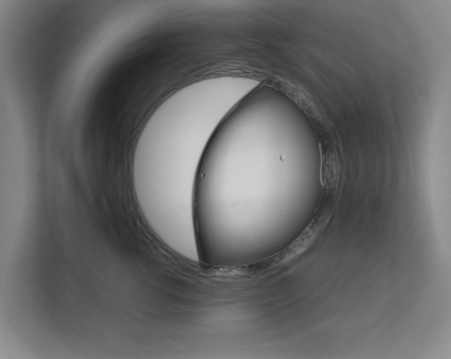 X0000111810762200907231016