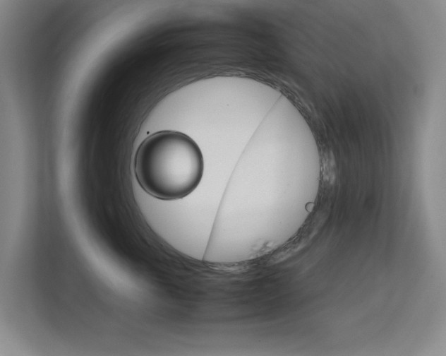 X0000111810763200907231016
