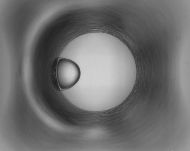 X0000111810764200907231016