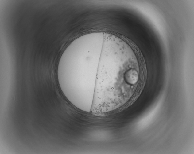 X0000111810767200907231016