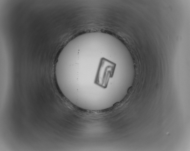 X0000111810768200907231016