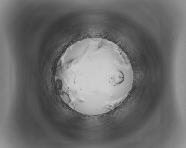 X0000111810769200907231015