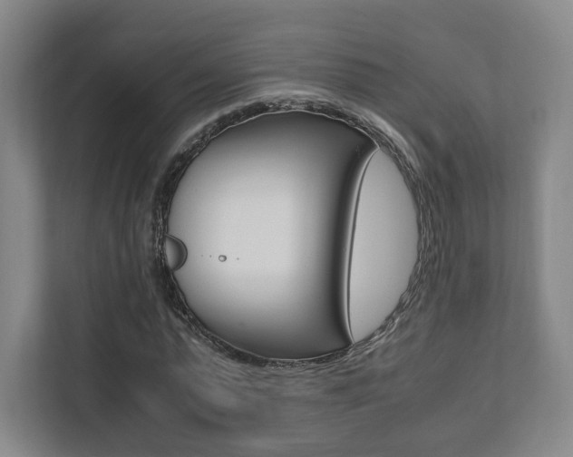 X0000111810775200907231015