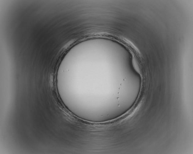 X0000111810777200907231015
