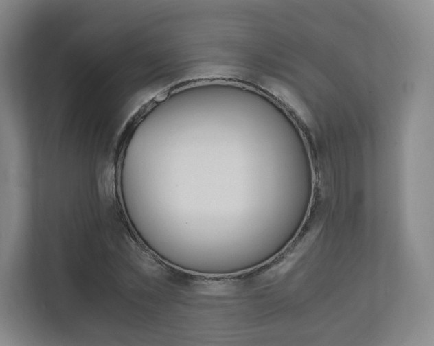 X0000111810781200907231015