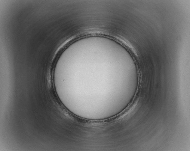 X0000111810782200907231015