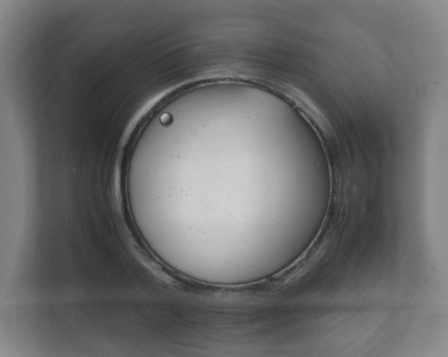 X0000111810788200907231015