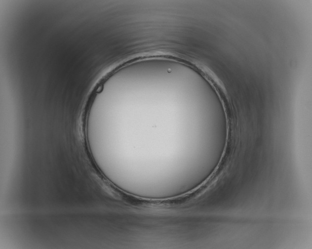 X0000111810789200907231015