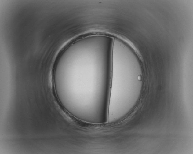 X0000111810791200907231015