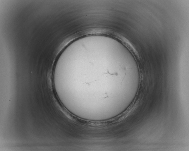 X0000111810794200907231015
