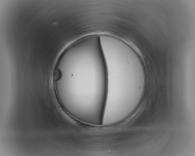 X0000111810797200907231015