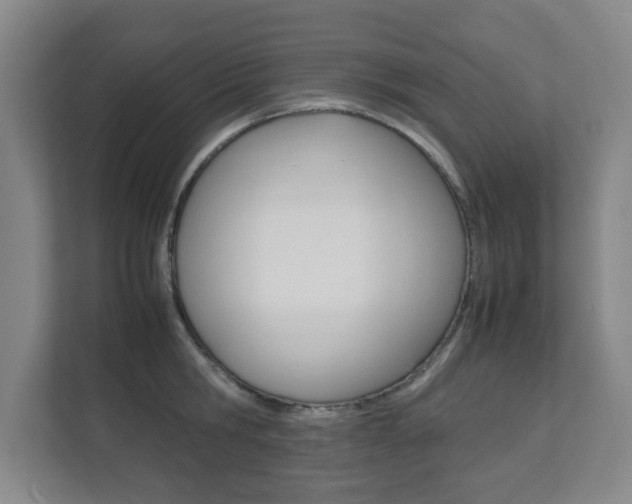 X0000111810806200907231015
