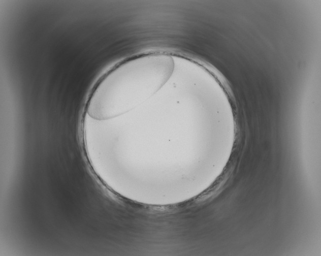 X0000111810807200907231015
