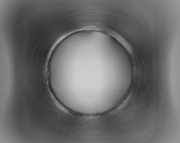X0000111810808200907231015