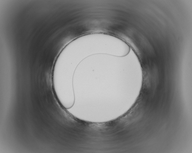 X0000111810810200907231015