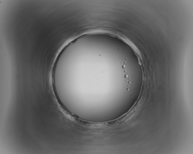 X0000111810813200907231014