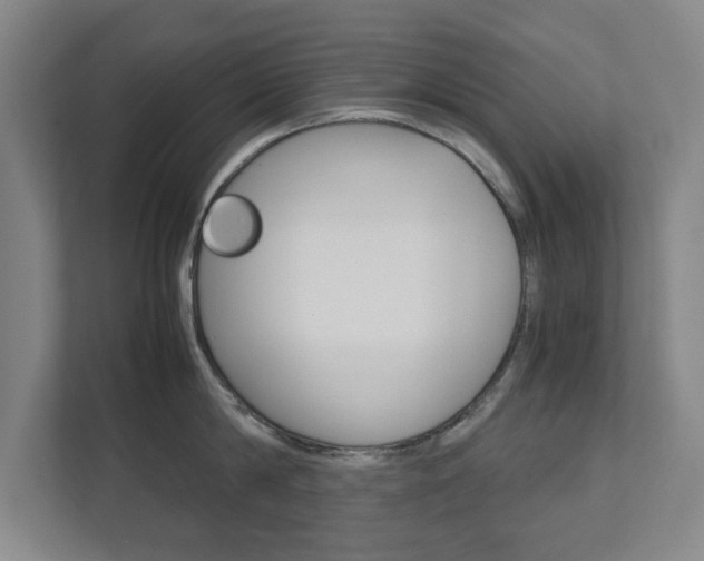 X0000111810814200907231014