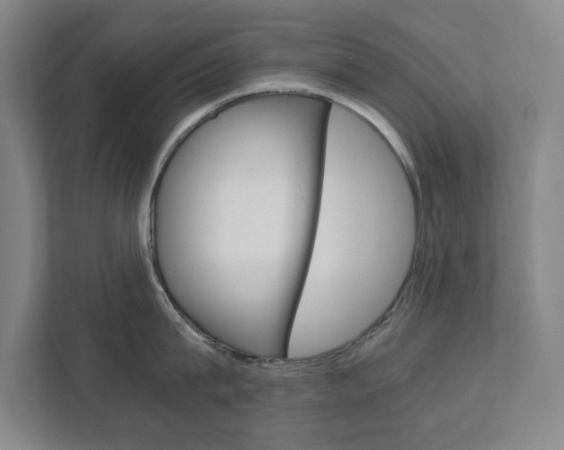 X0000111810815200907231014