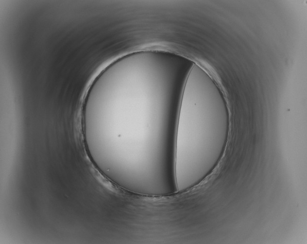 X0000111810816200907231014