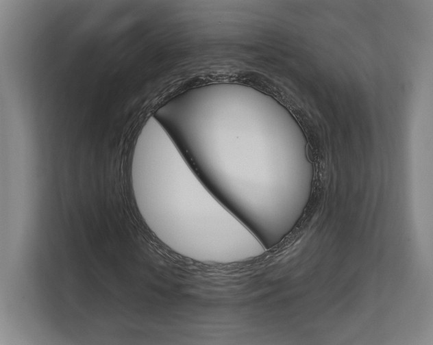 X0000111810818200907231014