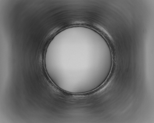 X0000111810825200907231014