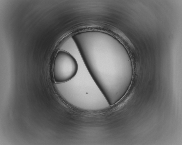 X0000111810826200907231014