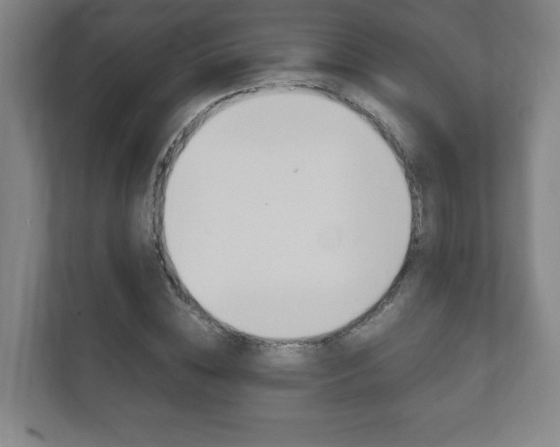 X0000111810828200907231014