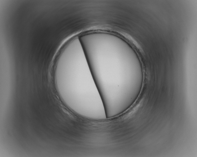 X0000111810830200907231014