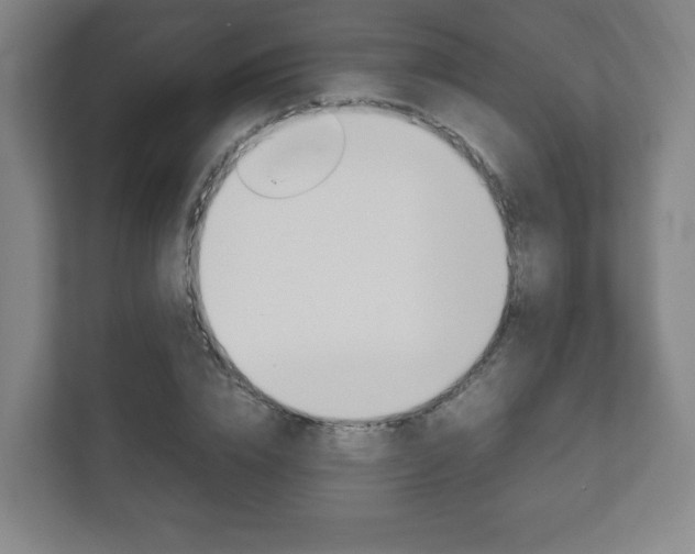 X0000111810832200907231014