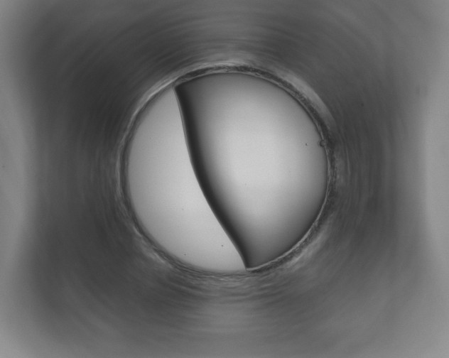 X0000111810834200907231014