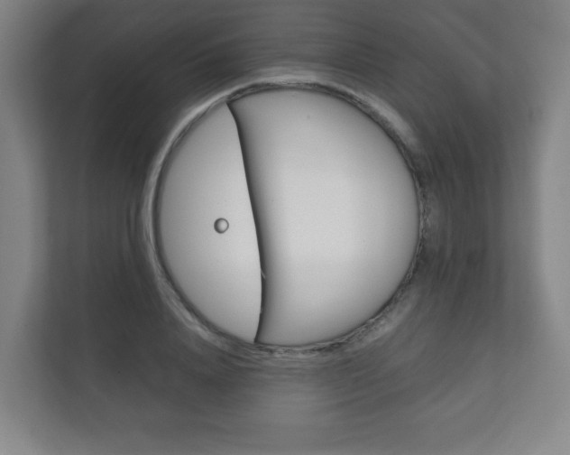 X0000111810840200907231014