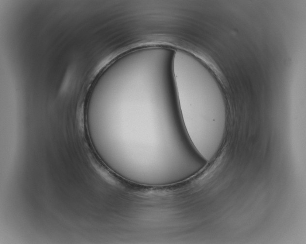 X0000111810842200907231014