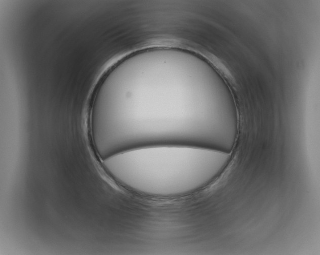 X0000111810846200907231014