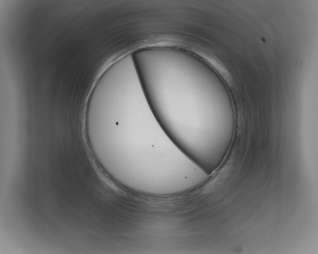 X0000111810850200907231014