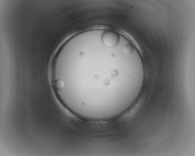 X0000111810851200907231014