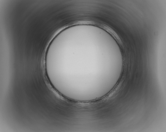 X0000111810852200907231014