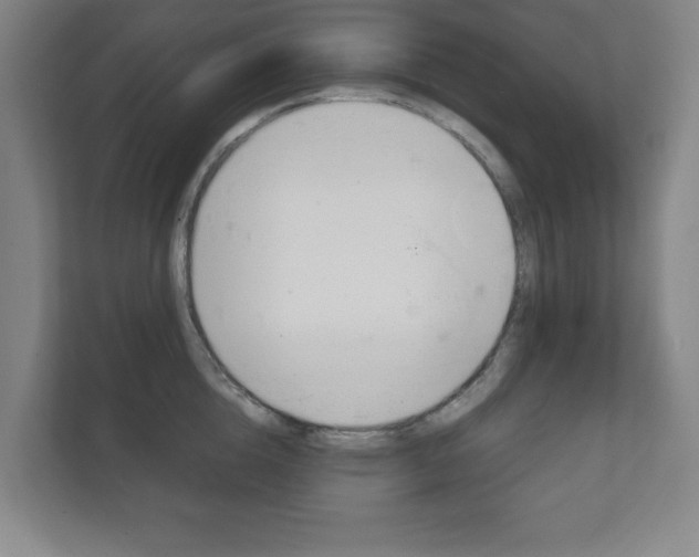 X0000111810856200907231014