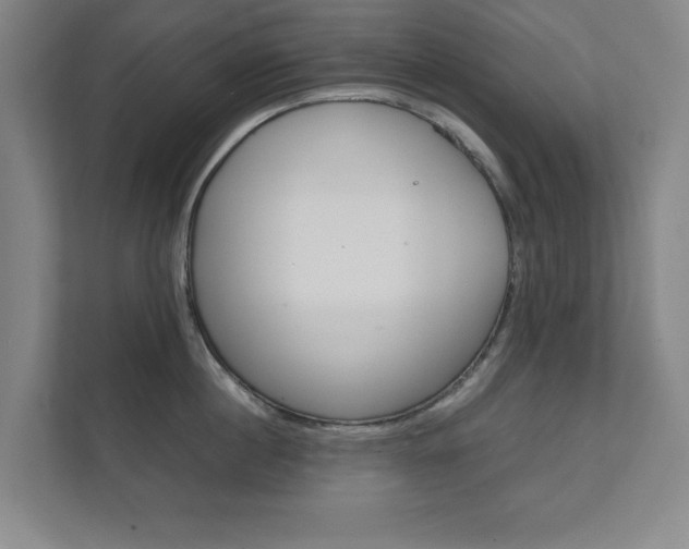 X0000111810860200907231014