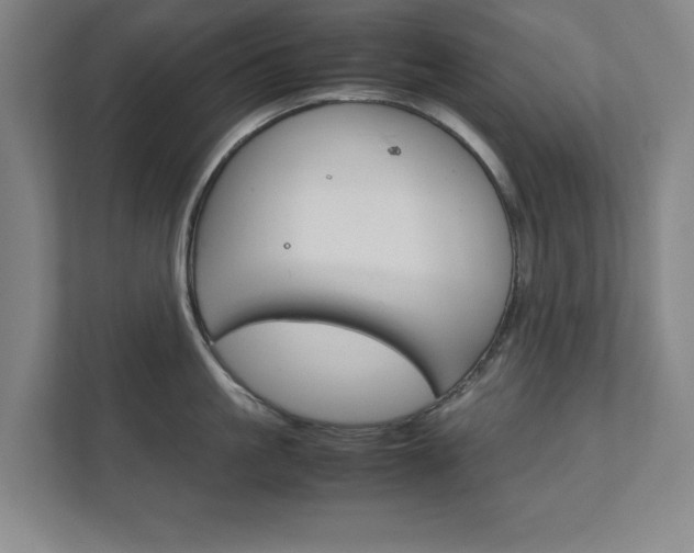 X0000111810861200907231014