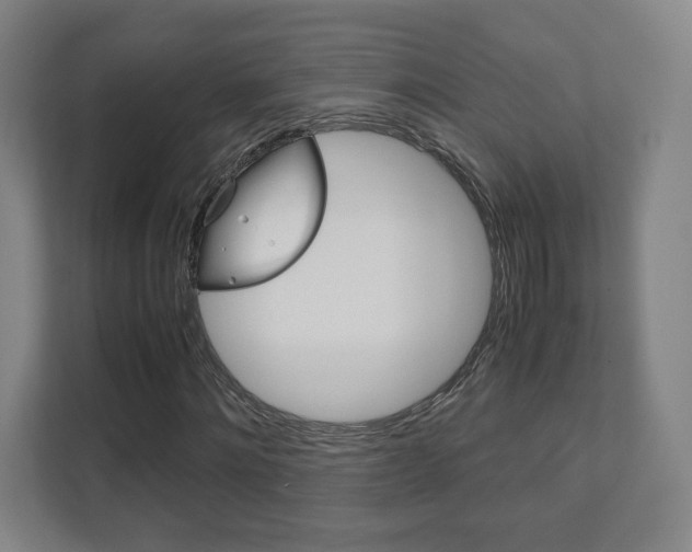 X0000111810868200907231014