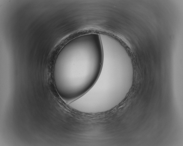 X0000111810872200907231014