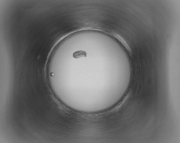 X0000111810876200907231014