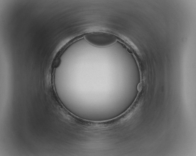 X0000111810877200907231014