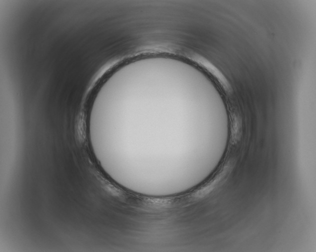 X0000111810878200907231014