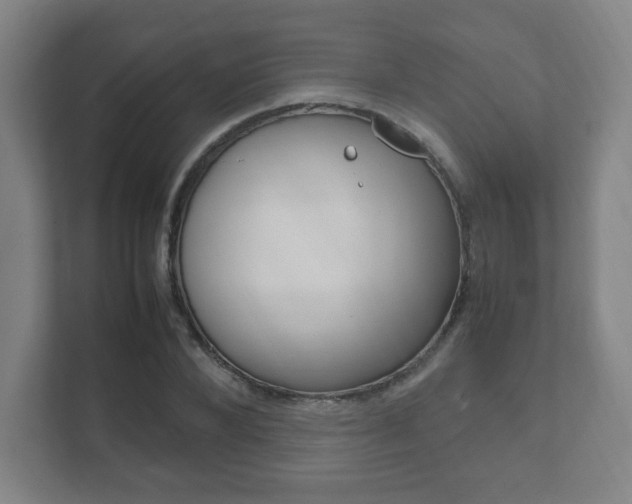 X0000111810880200907231014