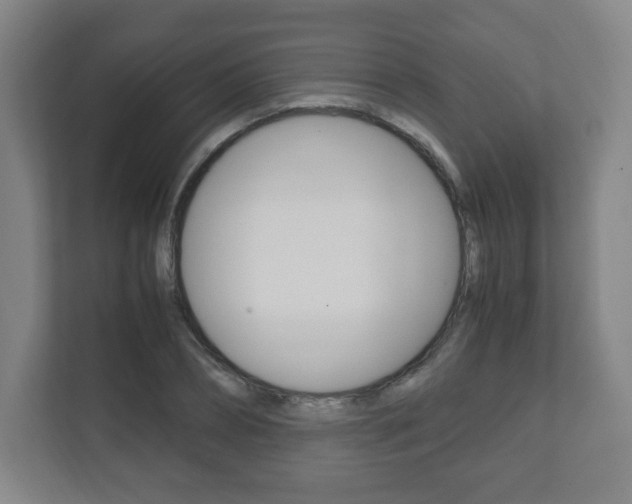 X0000111810882200907231014
