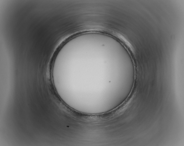 X0000111810883200907231014