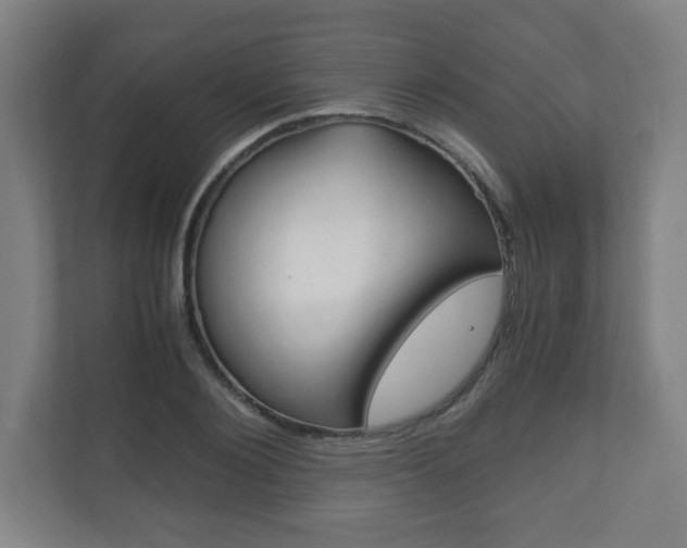 X0000111810884200907231014