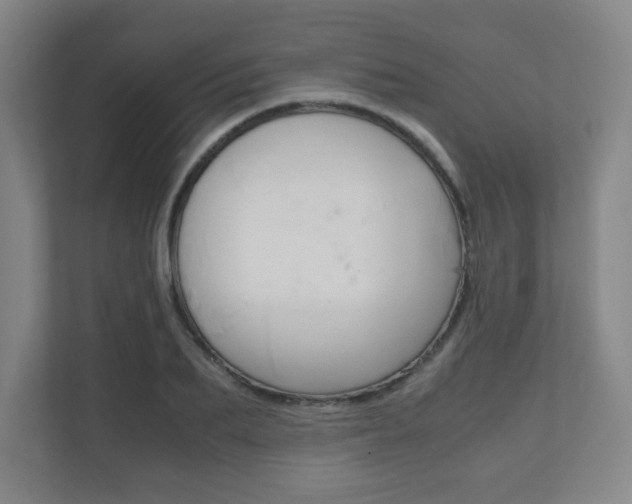X0000111810887200907231014